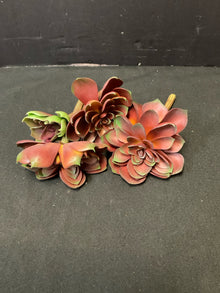  Pottery Barn Plant