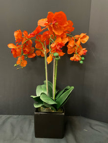  Arrangement