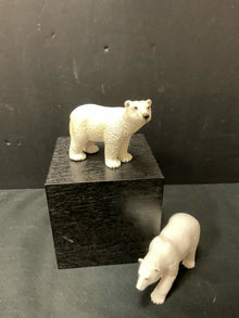  Animal/Bird/Fish/Critter