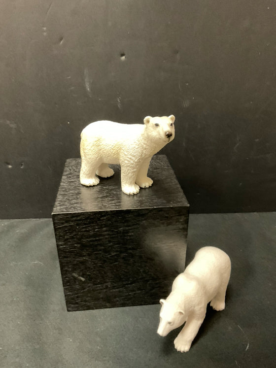 Animal/Bird/Fish/Critter