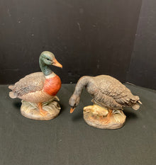  Animal/Bird/Fish/Critter