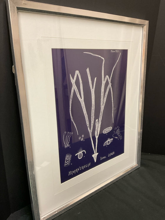 Framed Art