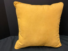  Pier 1 Pillow