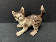  Animal/Bird/Fish/Critter