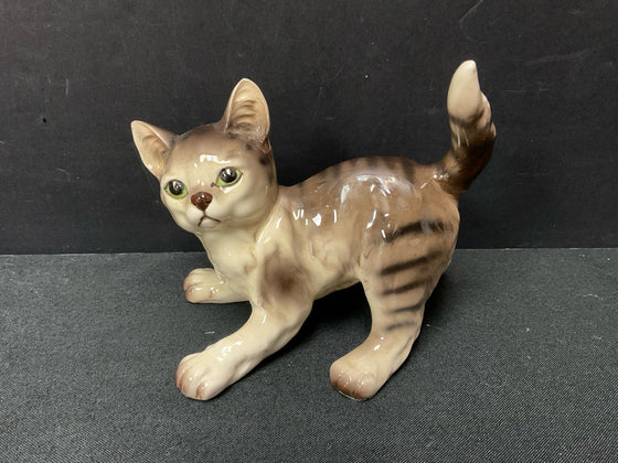 Animal/Bird/Fish/Critter