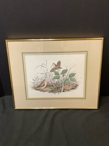  Framed Art