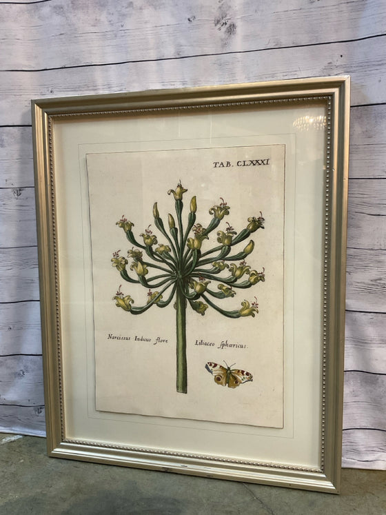 Framed Art