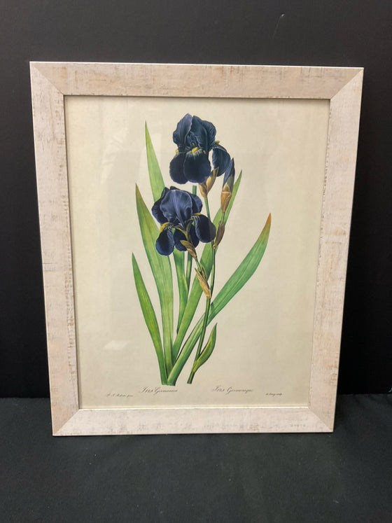 Framed Art