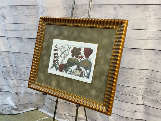 Framed Art
