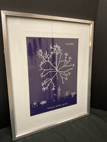  Framed Art