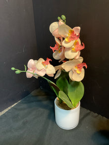  Arrangement