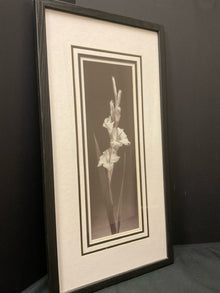  Framed Art