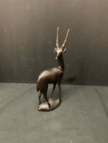  Animal/Bird/Fish/Critter