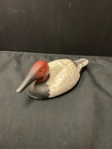  Animal/Bird/Fish/Critter