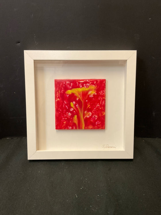 Framed Art