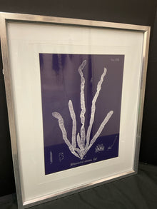  Framed Art