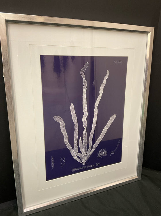 Framed Art