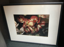  Framed Art