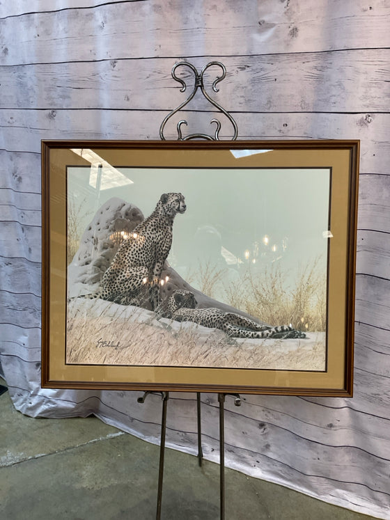 Framed Art