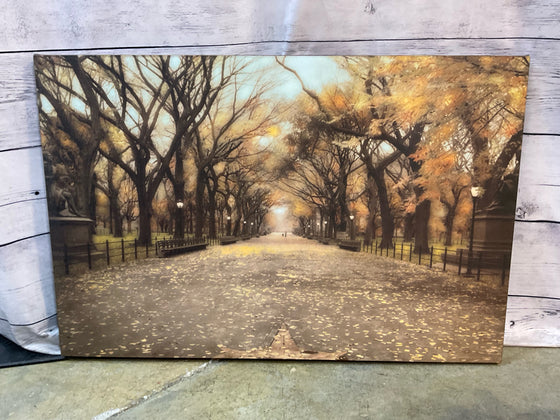 Canvas
