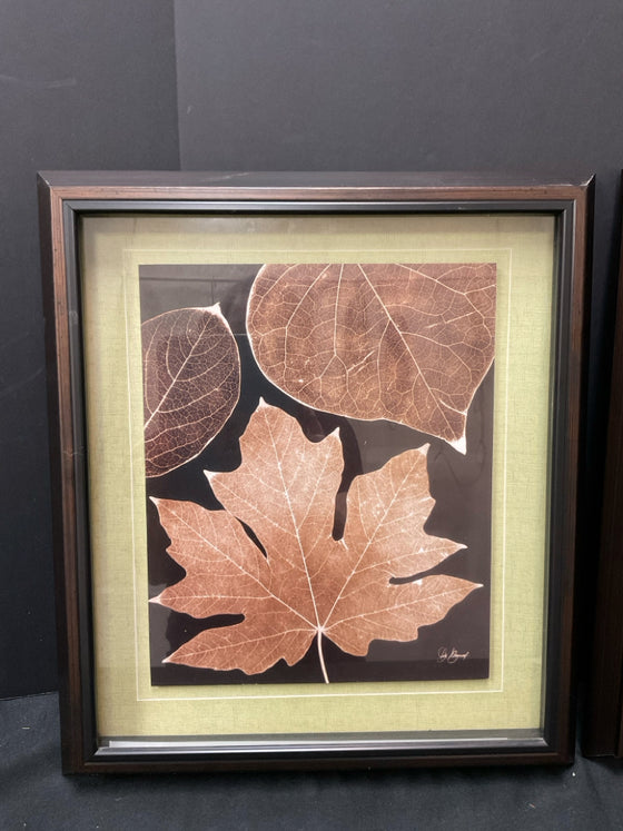 Framed Art