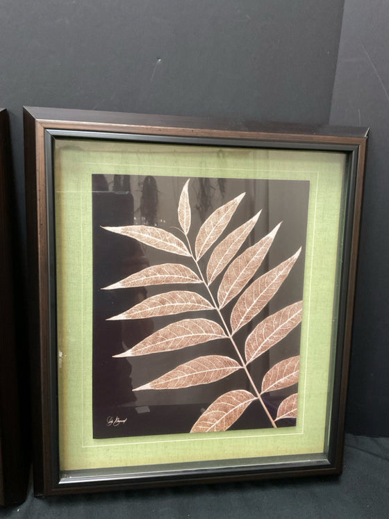 Framed Art