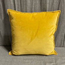  Crate & Barrel Pillow