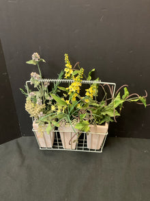  Arrangement