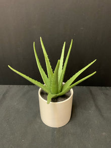  Arrangement