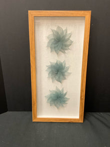 Shadow Box
