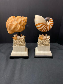  Bookend(s)