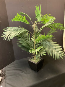  Arrangement