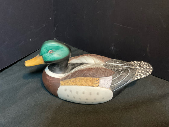 Animal/Bird/Fish/Critter