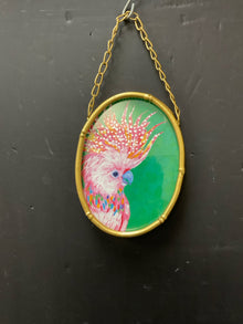  Animal/Bird/Fish/Critter