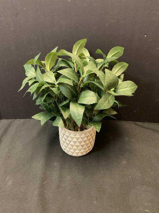 Arrangement