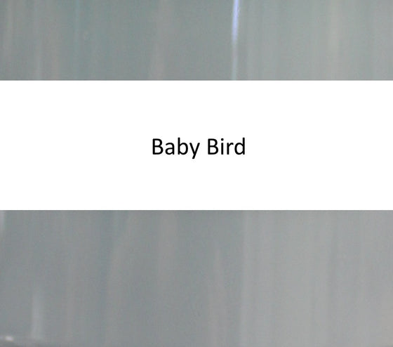 32 oz. Baby Bird